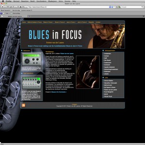 Website Blues in Focus